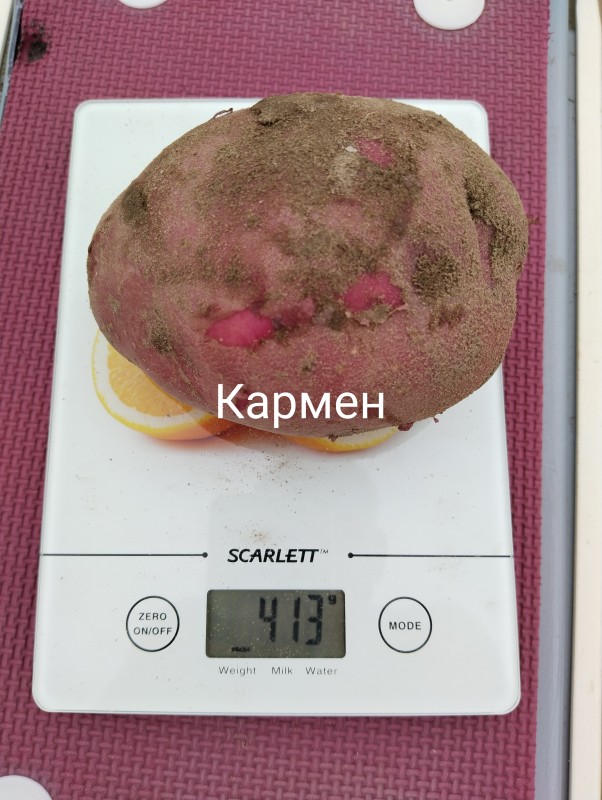 Кармен1.jpg