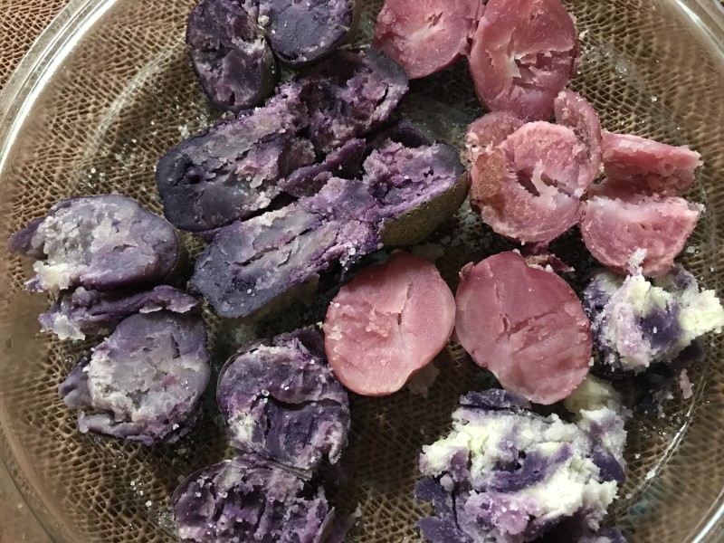 Марсианка(розовая) и Северное Сияние