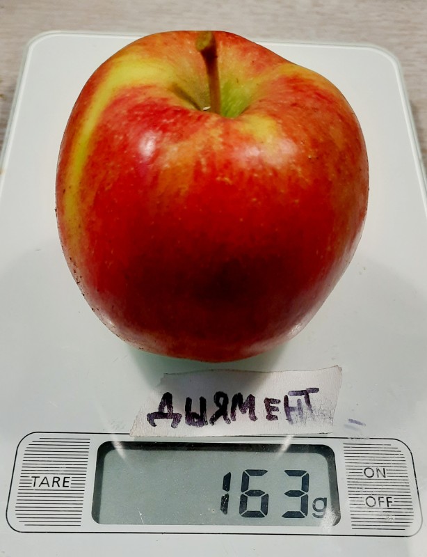 20230928_013019.jpg