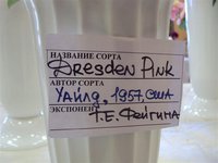 DSC03887 (Small).JPG