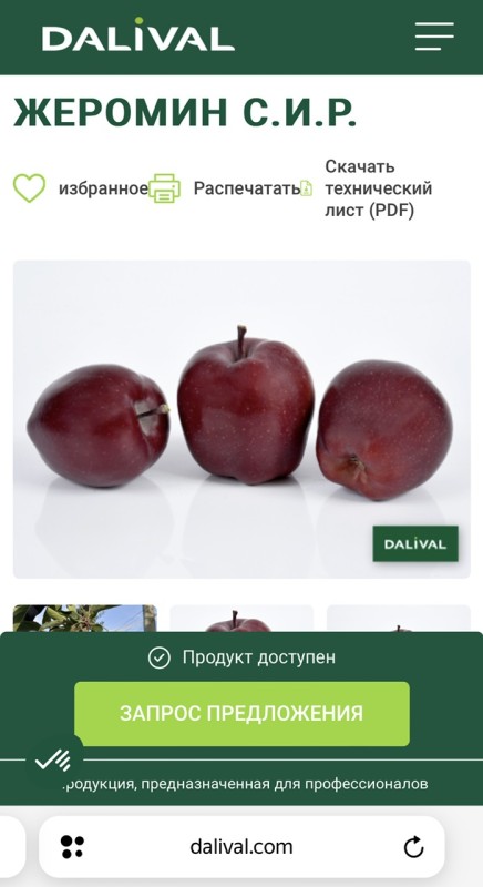 IMG_6477.jpeg