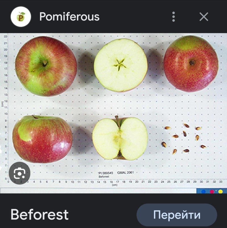 Screenshot_20231002-115245_Google.jpg