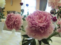 DSC03890 (Small).JPG