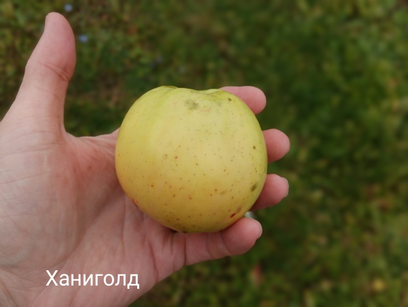 IMG_20231006_145910.jpg