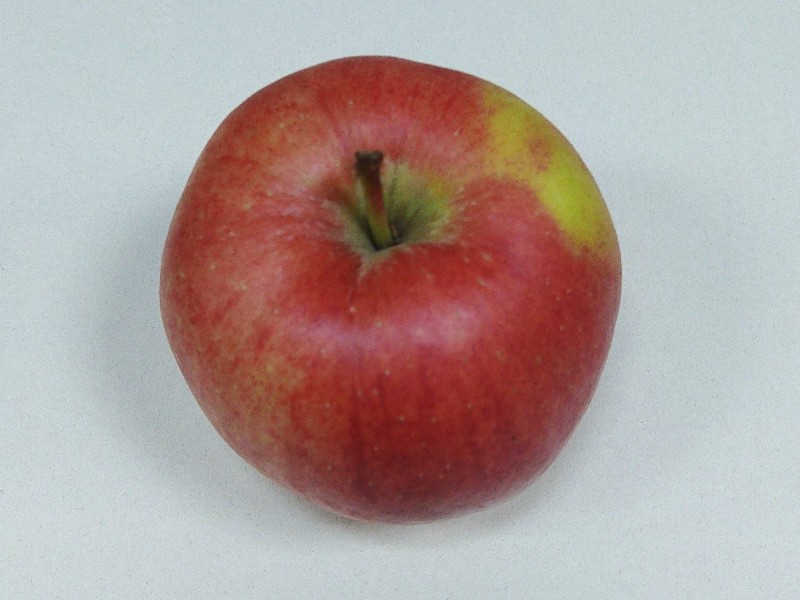 IMG_20231102_103926_resize_85.jpg