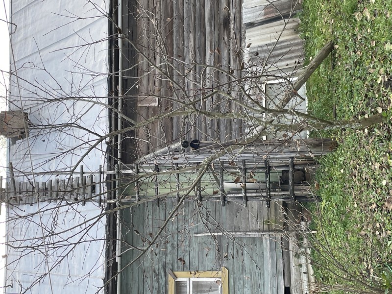 IMG_8882.jpeg