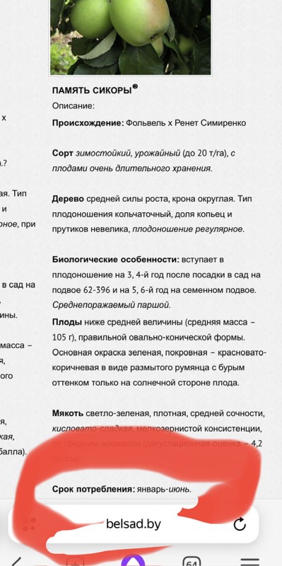 IMG_6767.jpeg