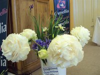 DSC03892 (Small).JPG