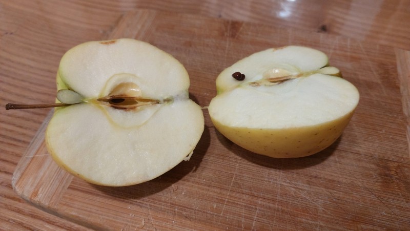 Золотая корона