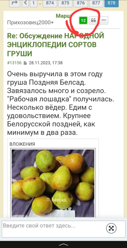 Screenshot_20231129-101144_Yandex.jpg