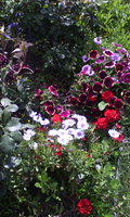 IMG_20140914_134407.jpg