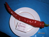 PA040025.JPG
