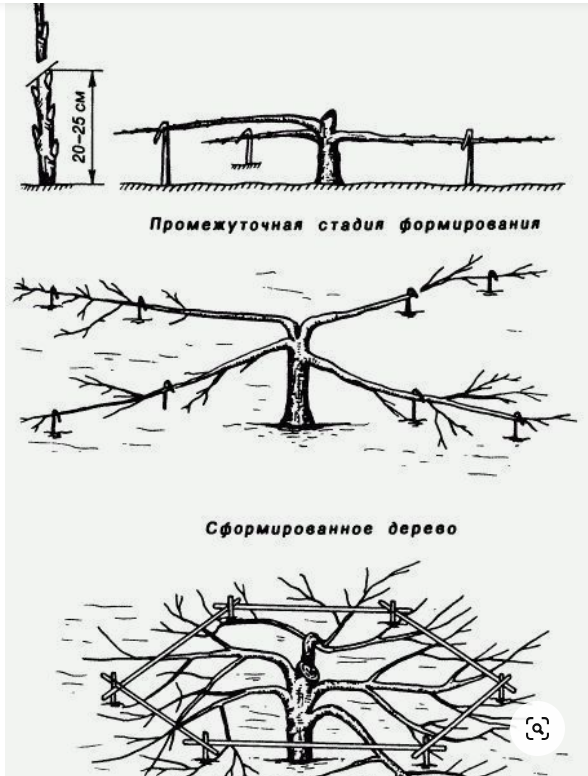 Opera Снимок_2023-12-17_095002_ru.pinterest.com.png