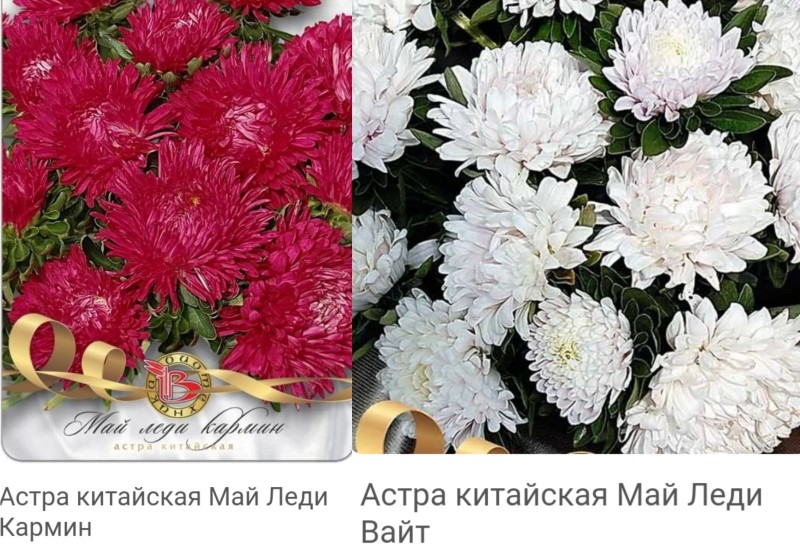 1703999380-picsay.jpg