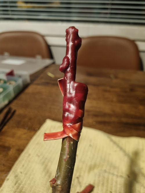 20240106_173105.jpeg