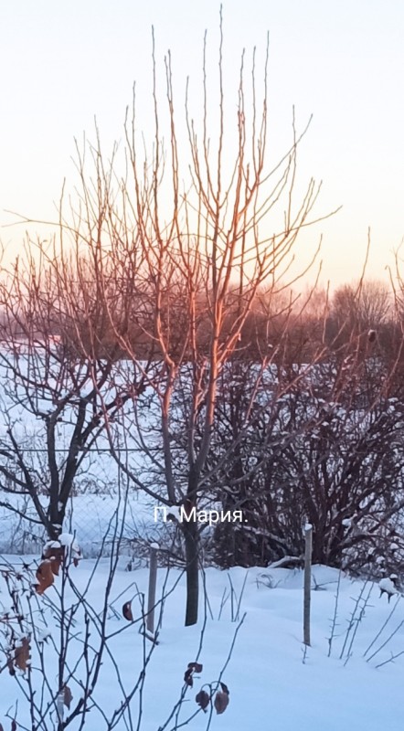 IMG_20240108_170749.jpg