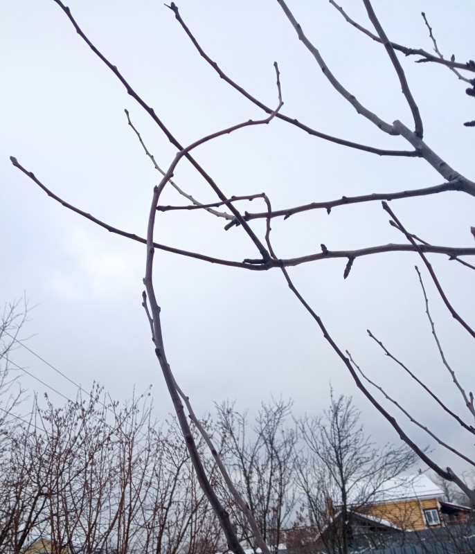 IMG_20240109_191657.jpg