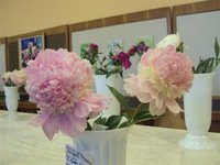 DSC03911 (Small).JPG