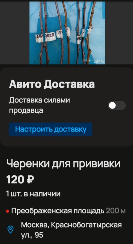 Screenshot_20240126-105440.jpg