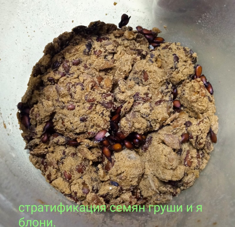 Процесс идёт в мокром песке.