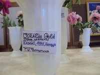 DSC03919 (Small).JPG