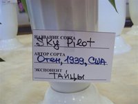 DSC03921 (Small).JPG