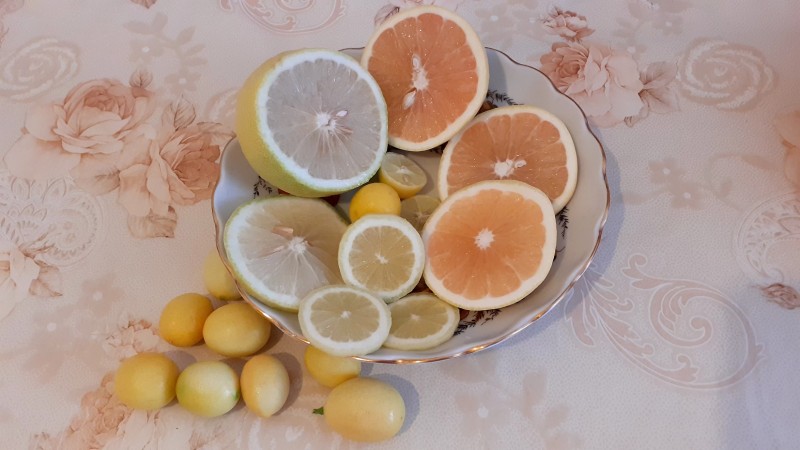 Грейпфрут Дункан,лимон Липо, Новогодний, лимонелла