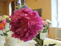 DSC03924 (Small).JPG