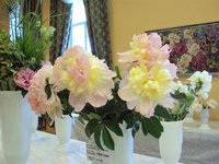 DSC03926 (Small).JPG