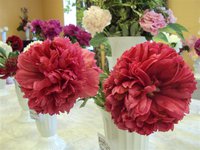 DSC03928 (Small).JPG