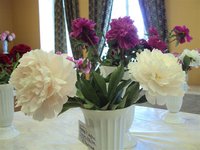 DSC03930 (Small).JPG