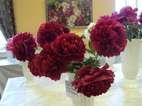 DSC03932 (Small).JPG