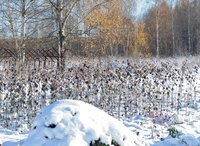 19 октября.jpg