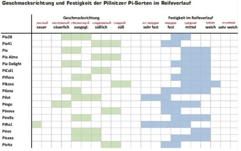 Оценка вкуса и плотности мякоти сортов Pi-серии