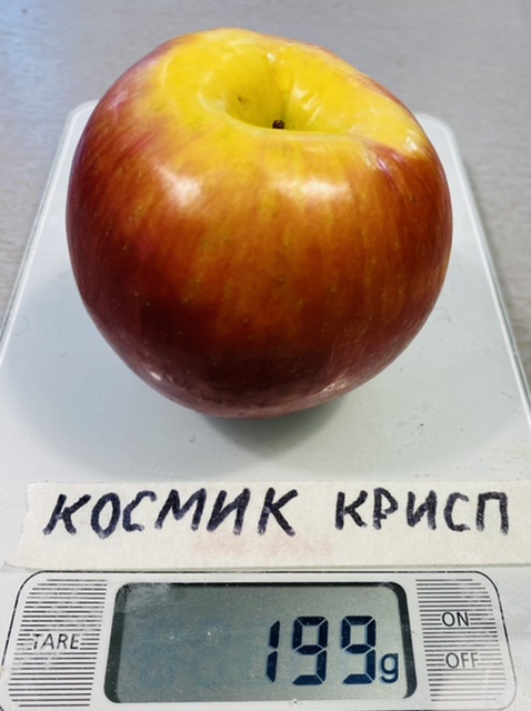 2A8FD29B-2A2D-4A28-B8F1-3F60FD6A5588.jpeg