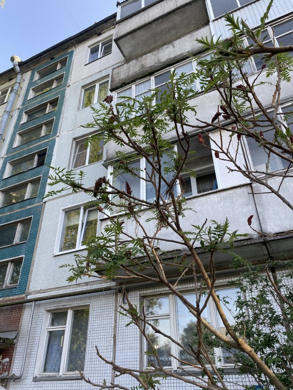 сумах 24.05.2024.jpg
