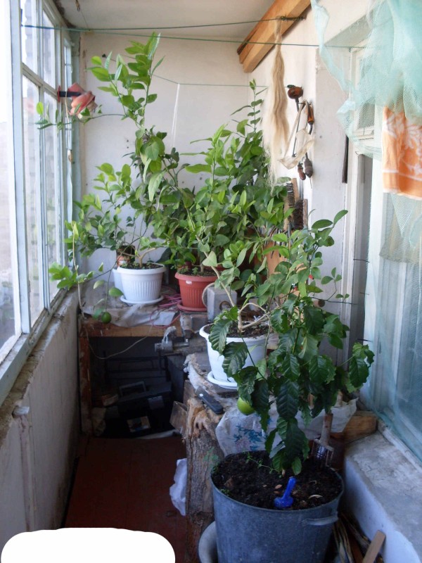 2009_92#.jpg