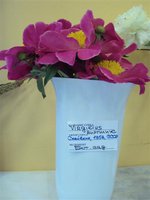 DSC03939 (Small).JPG