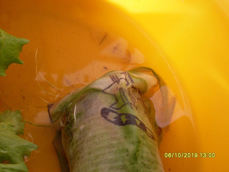 SDC13868.JPG