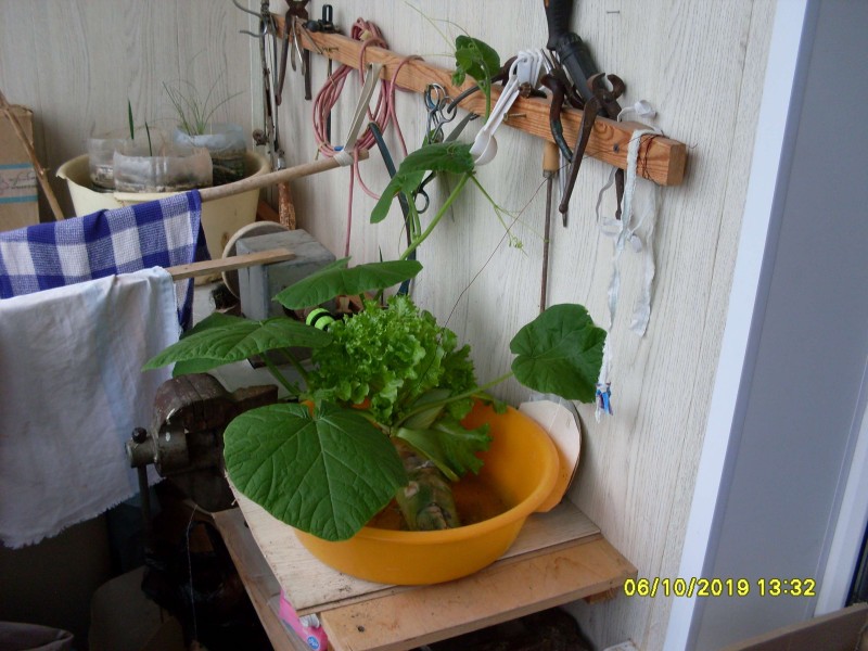 SDC13874.JPG