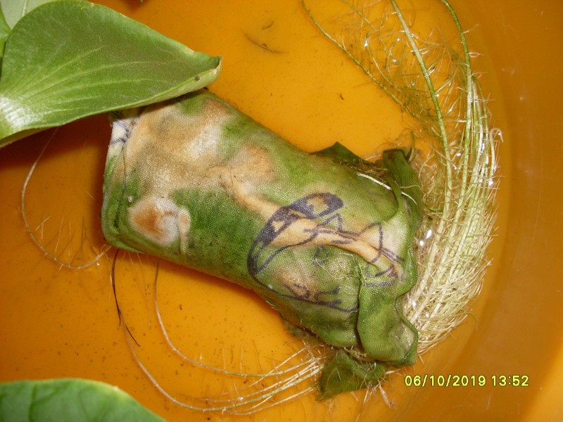 SDC13883.JPG