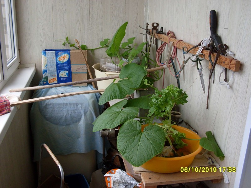 SDC13920.JPG