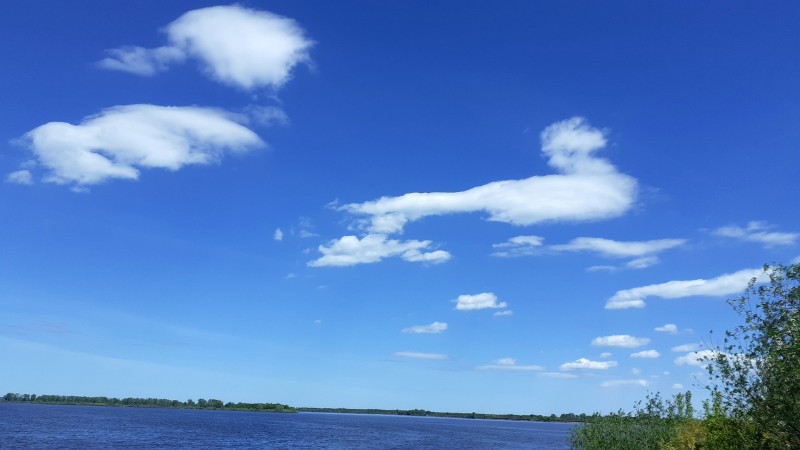 &quot;Морской конь&quot; (22.05.2024)