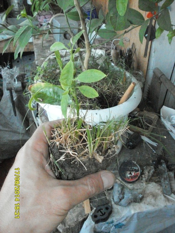 SDC12477#.jpg