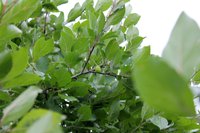 IMG_2276=.jpg
