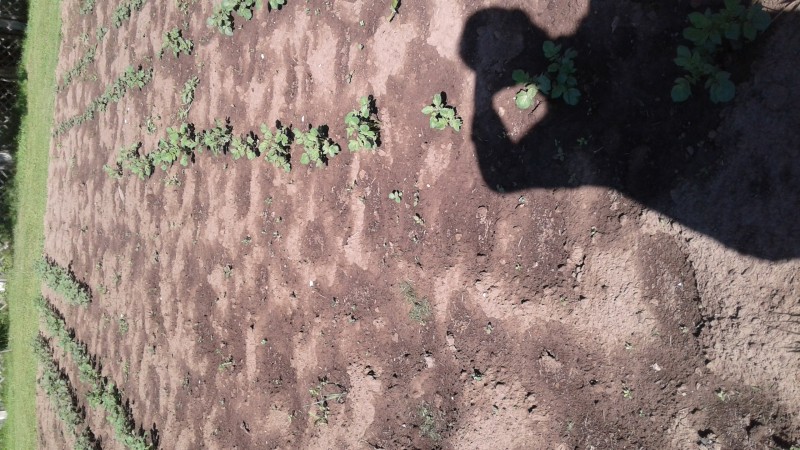 20240609_075125.jpg