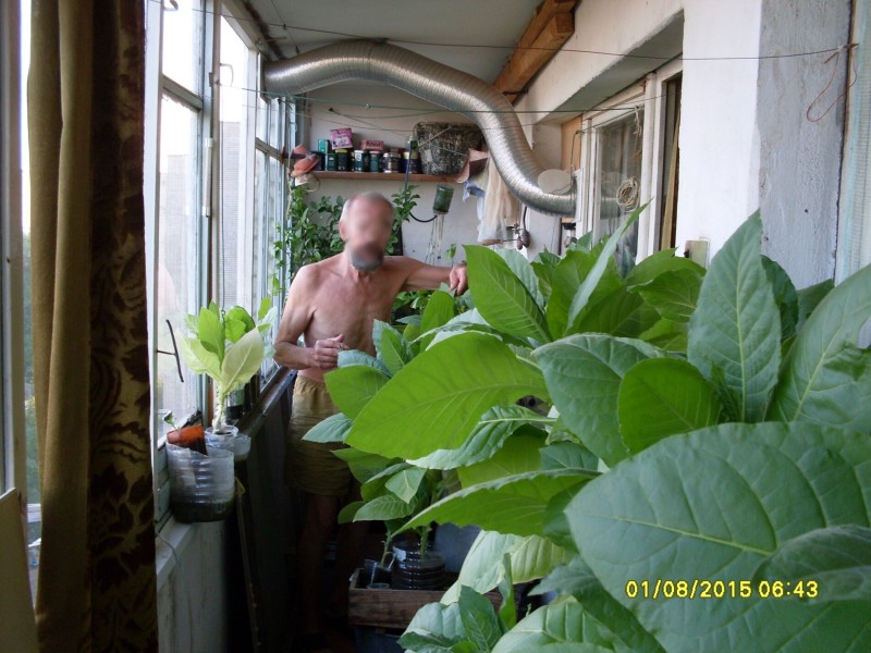 SDC13253525ede71de7553ab.jpg
