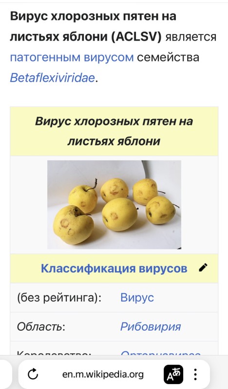 IMG_8076.jpeg