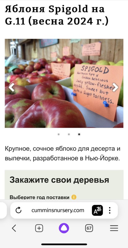 IMG_8080.jpeg