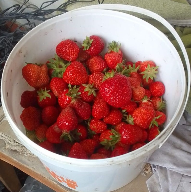 IMG-20240623-WA0001~2.jpg
